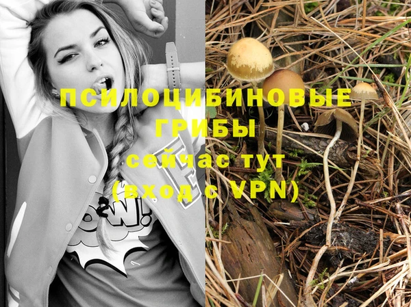 кокаин премиум Алексеевка