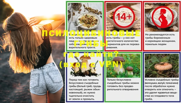скорость Абаза