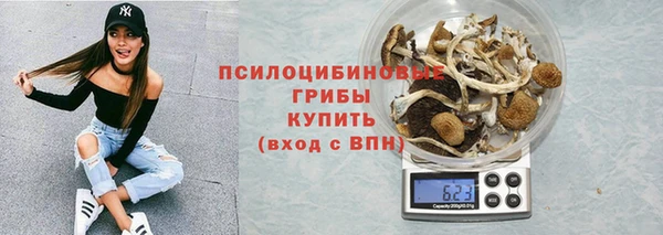героин Алексин