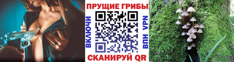 как найти наркотики  Канск  Псилоцибиновые грибы прущие грибы 