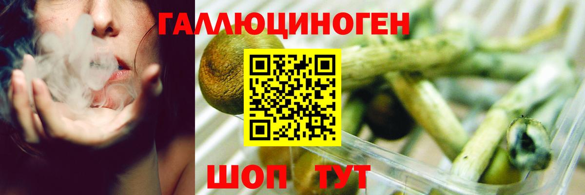 Канск  закладка  Вход с VPN  Галлюциногенные грибы прущие грибы 